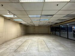 Lucky Plaza (D9), Shop House #442884971